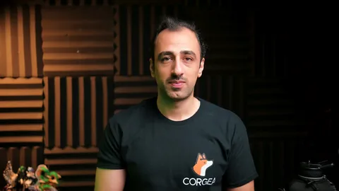 An ad Corgea is running