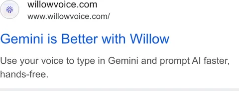 An ad Willowvoice is running