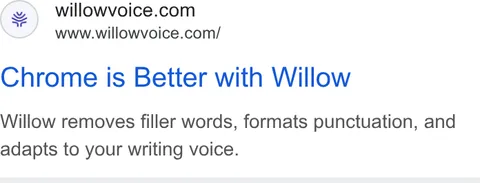 An ad Willowvoice is running