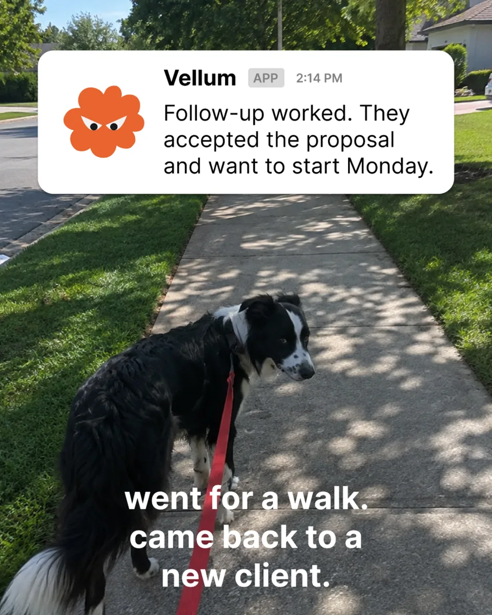 An ad Vellum is running